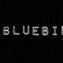 Bluebird album cover crop